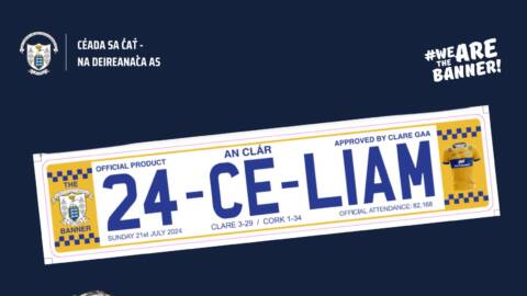 Official Licence Plate for Players Fund